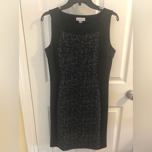 Calvin Klein day dress